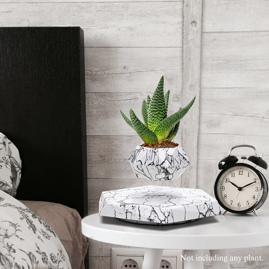 עציץ מרחף – רגע של קסם על השולחן שלך