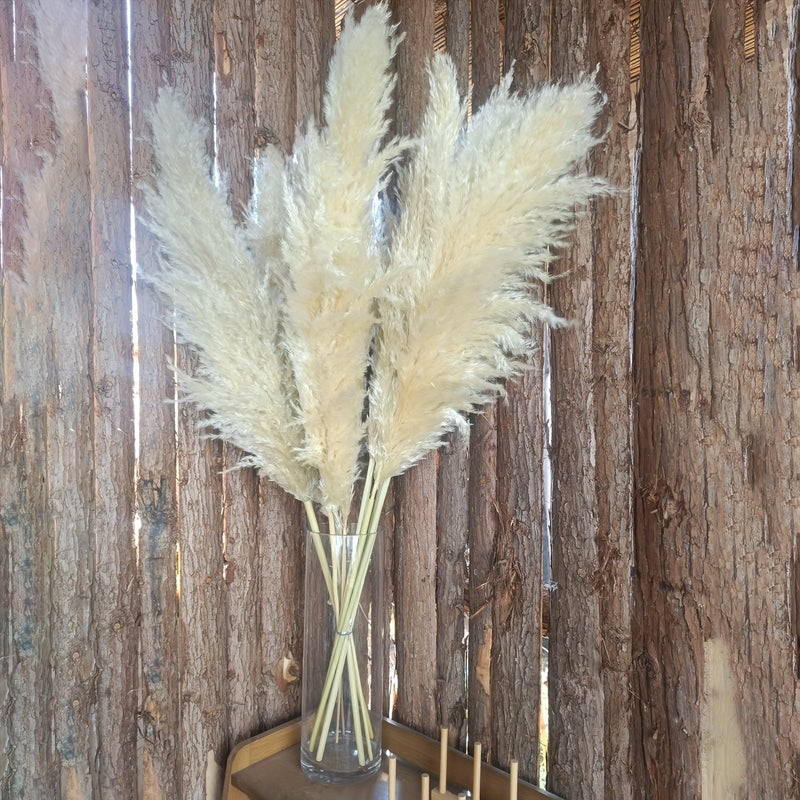 סידור פמפס בתוך הבית — רקע עץ