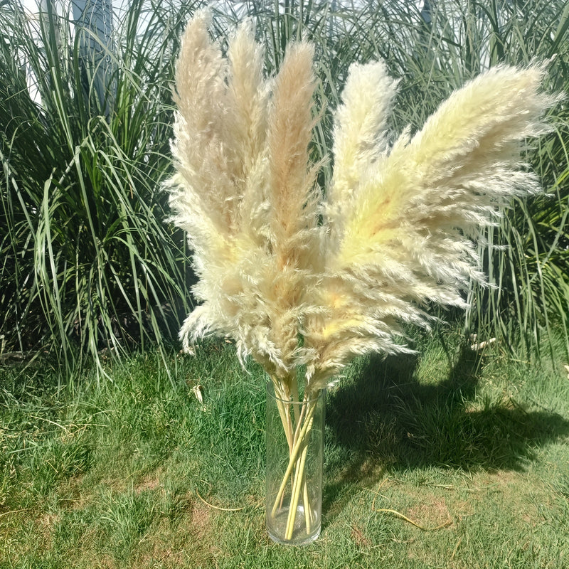 פמפס גבוה באגרטל חוץ — 100 ס״מ