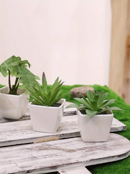 סט נורדי של 6 צמחים מלאכותיים — יופי נקי בלי טיפול